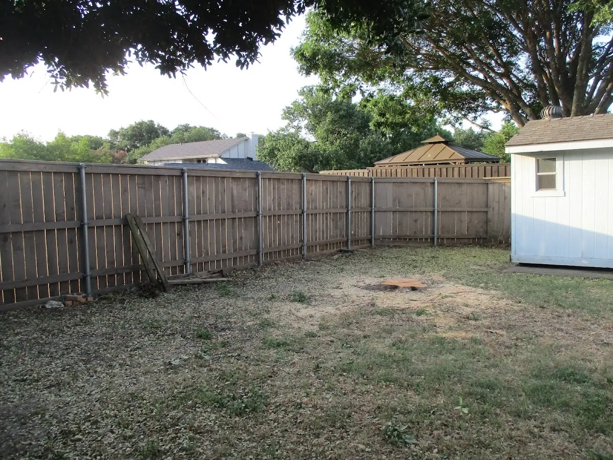 Cleared yard after professional tree removal in Thorndike